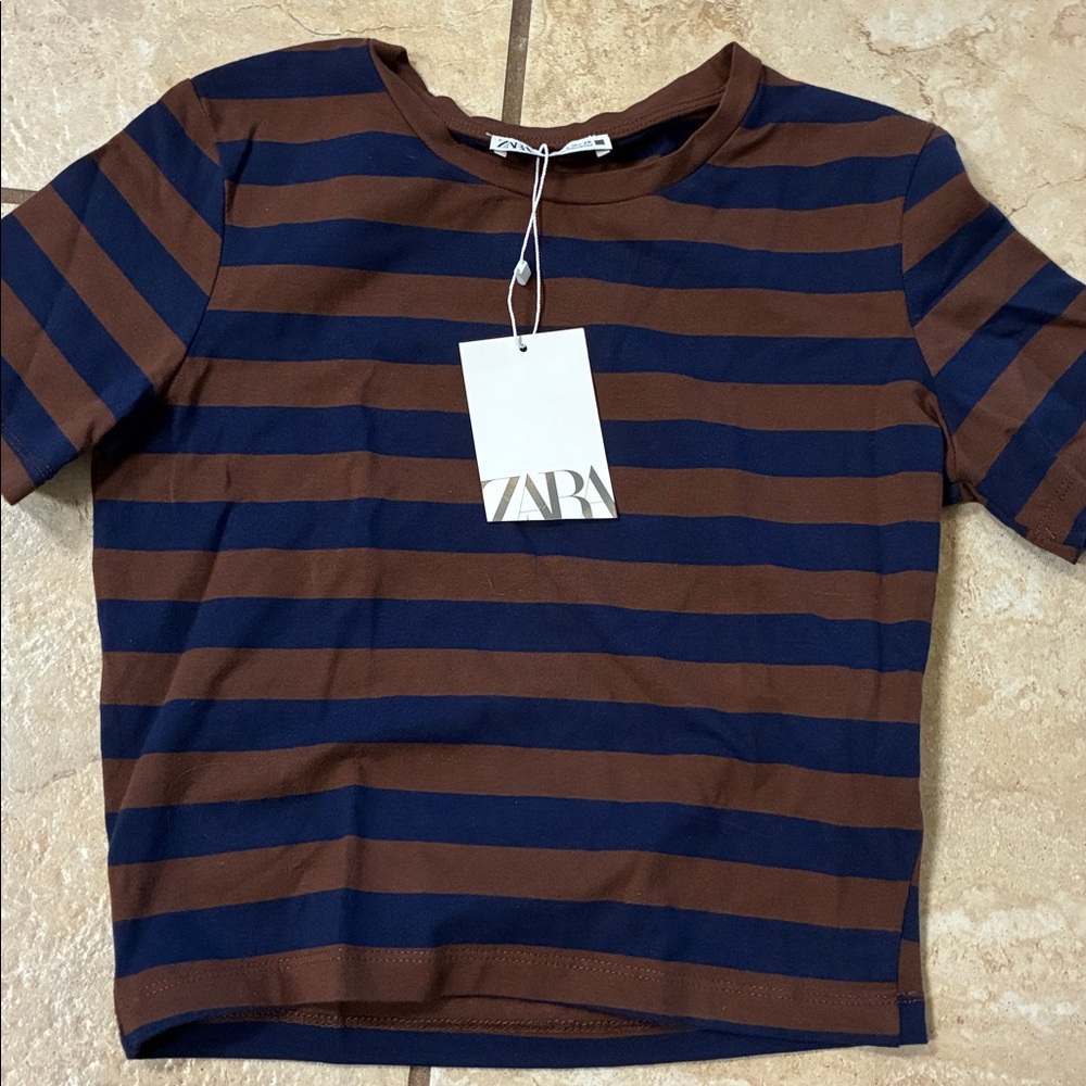Zara Navy and Brown Striped Tee